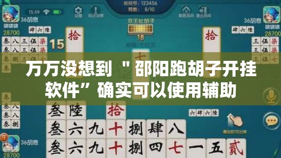 万万没想到 ＂邵阳跑胡子开挂软件”确实可以使用辅助