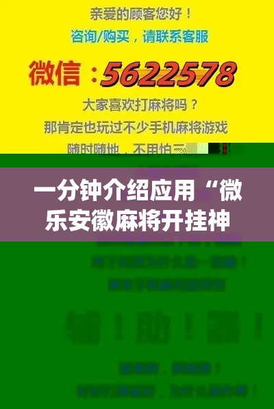一分钟介绍应用“微乐安徽麻将开挂神器”(详细辅助脚本)