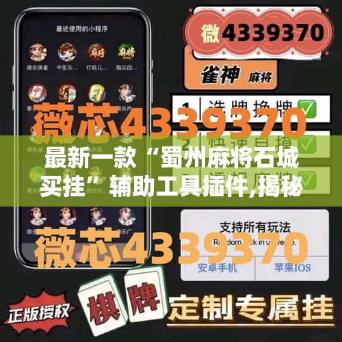 最新一款“蜀州麻将石城买挂”辅助工具插件,揭秘技巧开挂