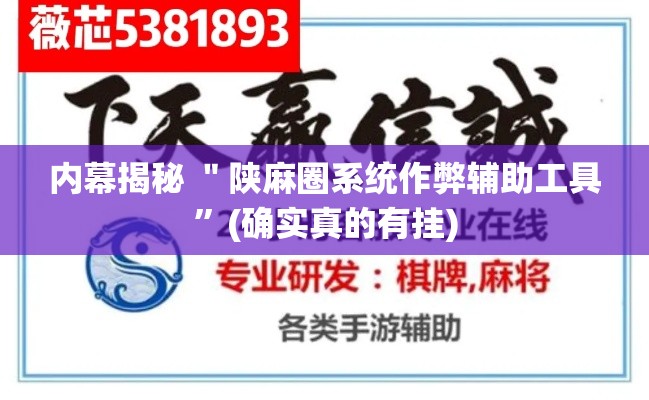 内幕揭秘 ＂陕麻圈系统作弊辅助工具”(确实真的有挂)