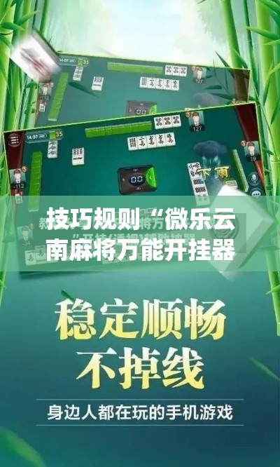 技巧规则“微乐云南麻将万能开挂器”(原来确实是有插件)