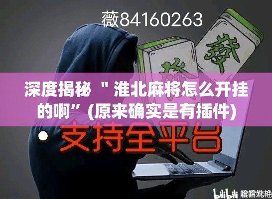 深度揭秘 ＂淮北麻将怎么开挂的啊	”(原来确实是有插件)