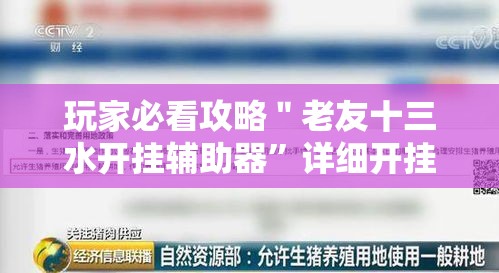 玩家必看攻略＂老友十三水开挂辅助器	”详细开挂教程