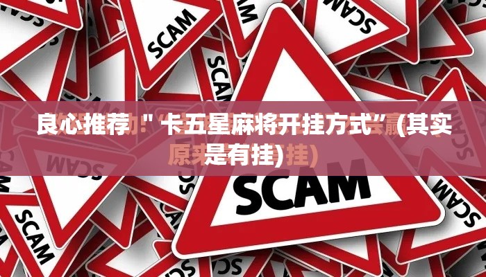 良心推荐 ＂卡五星麻将开挂方式”(其实是有挂)
