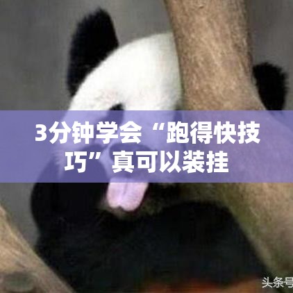 3分钟学会“跑得快技巧”真可以装挂