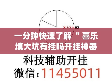 一分钟快速了解 ＂喜乐填大坑有挂吗开挂神器”(透视)辅助透视教程