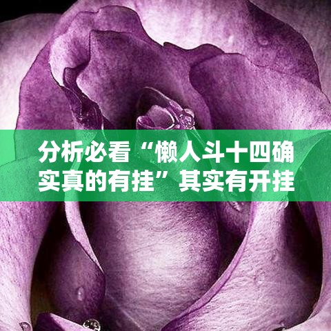 分析必看“懒人斗十四确实真的有挂”其实有开挂插件!
