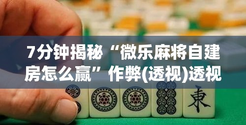 7分钟揭秘“微乐麻将自建房怎么赢”作弊(透视)透视辅助