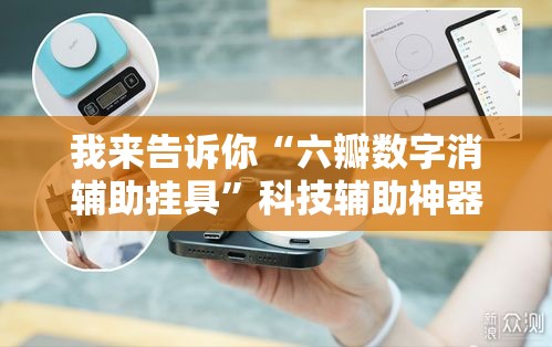 我来告诉你“六瓣数字消辅助挂具”科技辅助神器手机