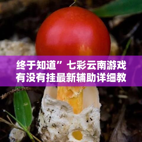 终于知道”七彩云南游戏有没有挂最新辅助详细教程