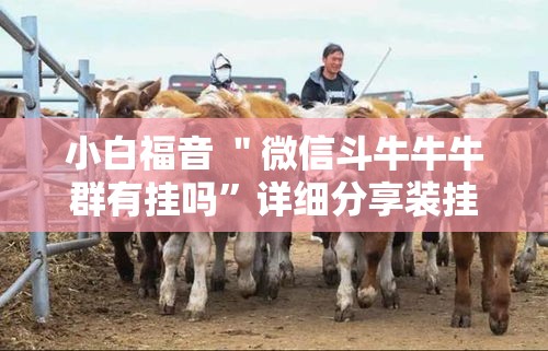 小白福音 ＂微信斗牛牛牛群有挂吗”详细分享装挂步骤教程