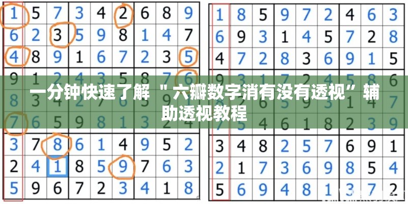 一分钟快速了解 ＂六瓣数字消有没有透视”辅助透视教程