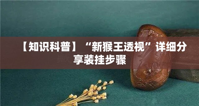 【知识科普】“新猴王透视”详细分享装挂步骤