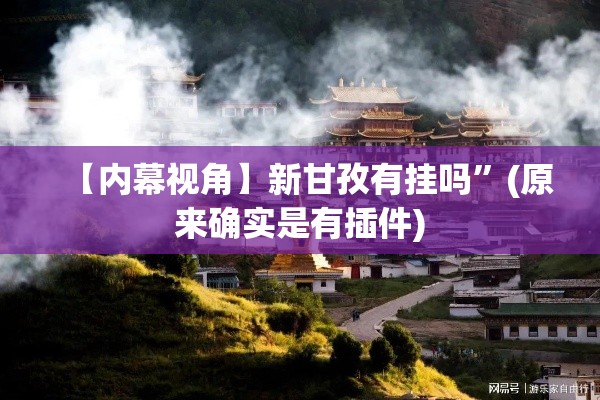 【内幕视角】新甘孜有挂吗”(原来确实是有插件)