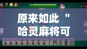 原来如此 ＂哈灵麻将可以开挂吗？”真的有挂