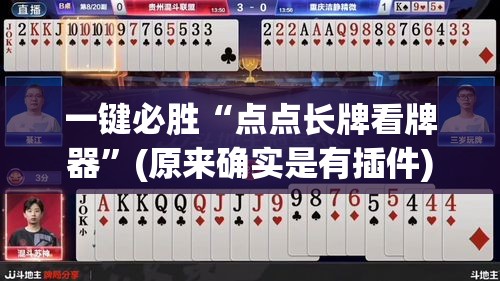 一键必胜“点点长牌看牌器”(原来确实是有插件)