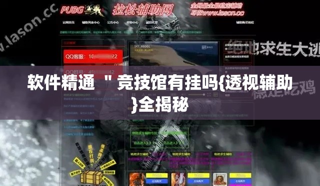 软件精通 "竞技馆有挂吗{透视辅助}全揭秘 软件精通 "竞技馆有挂吗{透视辅助}全揭秘