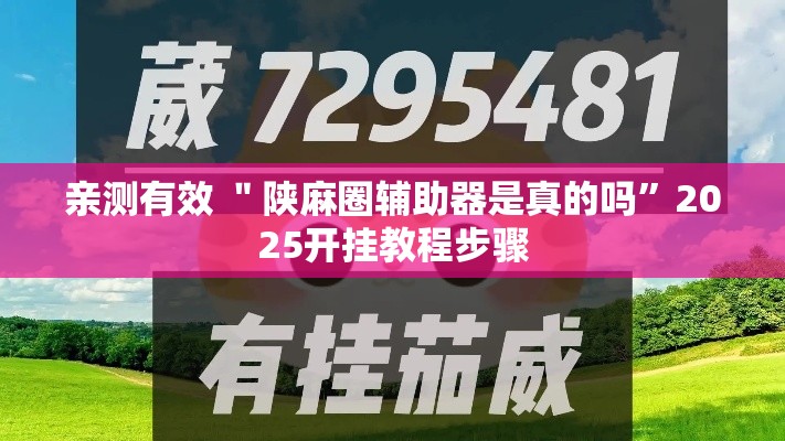 亲测有效 ＂陕麻圈辅助器是真的吗”2025开挂教程步骤