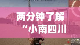 两分钟了解“小南四川长牌有挂吗”(详细透视教程)-