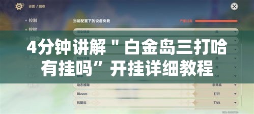 4分钟讲解＂白金岛三打哈有挂吗	”开挂详细教程