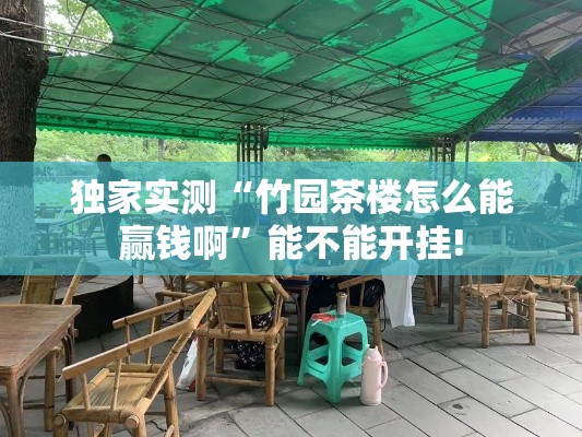 独家实测“竹园茶楼怎么能赢钱啊”能不能开挂!