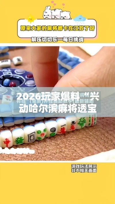 2026玩家爆料“兴动哈尔滨麻将透宝挂”开挂辅助软件教程