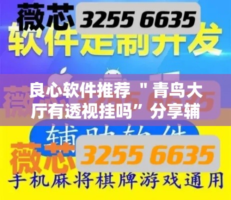 良心软件推荐 ＂青鸟大厅有透视挂吗”分享辅助外挂教程