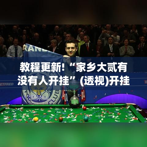教程更新!“家乡大贰有没有人开挂”(透视)开挂详细教程