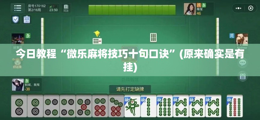 今日教程“微乐麻将技巧十句口诀”(原来确实是有挂)