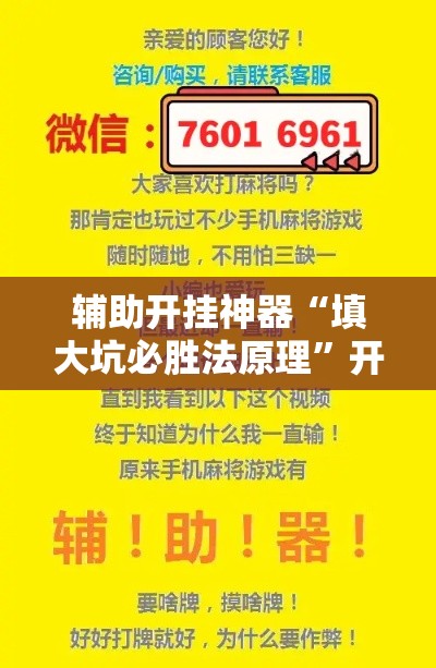 辅助开挂神器“填大坑必胜法原理”开挂辅助软件教程