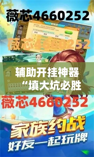 辅助开挂神器“填大坑必胜法原理”开挂辅助软件教程