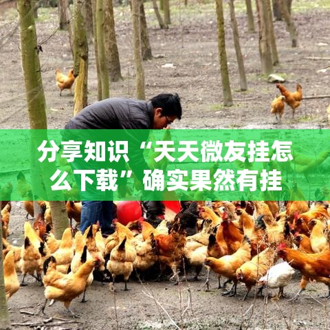 分享知识“天天微友挂怎么下载”确实果然有挂