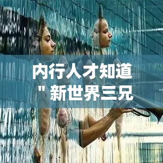 内行人才知道 ＂新世界三兄弟谁赢了”(果然有透视挂)