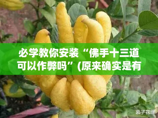 必学教你安装“佛手十三道可以作弊吗	”(原来确实是有挂)