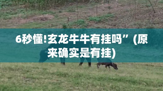 6秒懂!玄龙牛牛有挂吗”(原来确实是有挂)