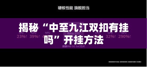 揭秘“中至九江双扣有挂吗	”开挂方法