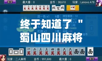 终于知道了 ＂蜀山四川麻将赢分秘诀”(透视)辅助透视教程