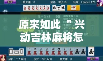 原来如此 ＂兴动吉林麻将怎么打才会赢”附开挂脚本详细教程
