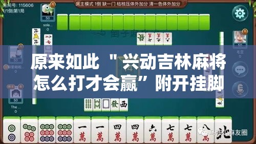 原来如此 ＂兴动吉林麻将怎么打才会赢”附开挂脚本详细教程