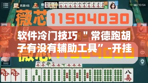 软件冷门技巧 ＂常德跑胡子有没有辅助工具”-开挂神器-包教包会