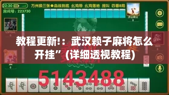 教程更新!：武汉赖子麻将怎么开挂”(详细透视教程)