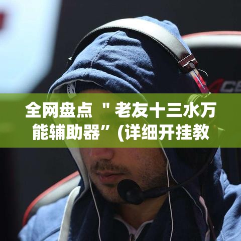 全网盘点 ＂老友十三水万能辅助器	”(详细开挂教程)