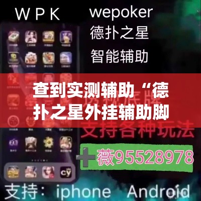 查到实测辅助“德扑之星外挂辅助脚本”作弊(透视)透视辅助