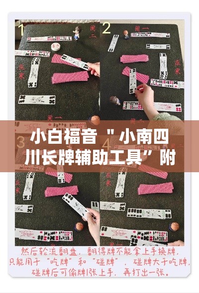 小白福音 ＂小南四川长牌辅助工具”附开挂脚本详细步骤
